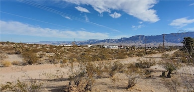 600 Hualapai Creek Dr, Meadview, AZ 86444 - photo 4