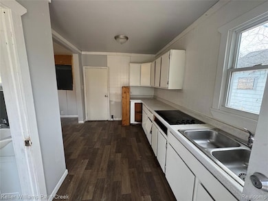 3401 Davison Rd, Flint, MI 48506 - photo 5