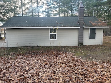 10018 S Rebecca Rd, Baldwin, MI 49304 - photo 6