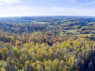 25ac Brotherton Mtn Rd, Cookeville, TN 38506 - photo 2