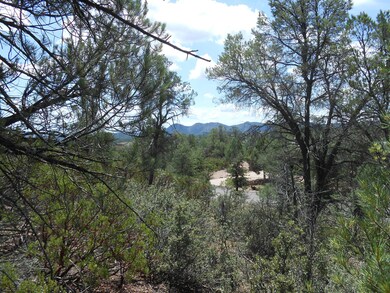 Nicely Treed