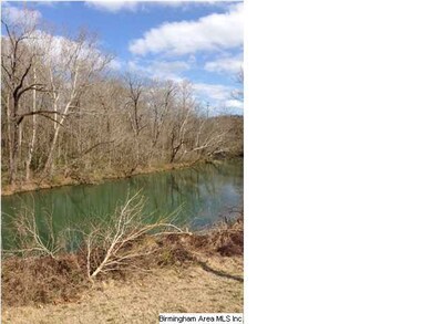 Just look at this view of Buck Creek off the back 