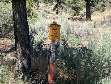 1912 Ironwood Dr, Pine Mountain Club, CA 93252 - photo 7