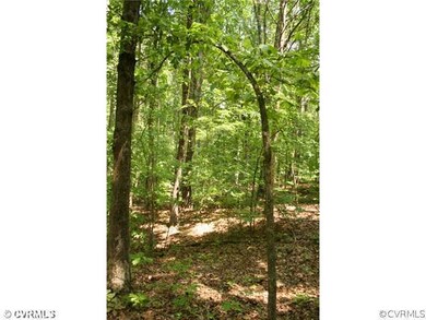 Land - The mature woods offer possible Timber valu
