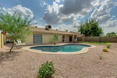 Entertaining back yard