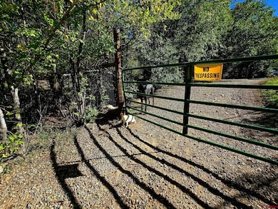 574 County Road 250, Durango, CO 81301 - photo 7