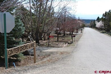 0 NE Ginters Grove Ln unit 703702, Cedaredge, CO 81413 - photo 7