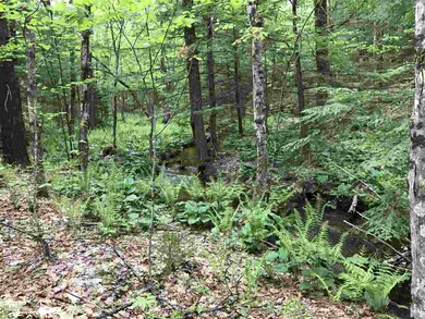 403 Route 25 E, Ossipee, NH 03814 - photo 5