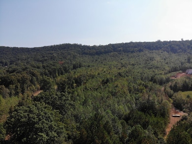 0 Alabama Hwy unit 21222630, Rock Spring, GA 30739 - photo 4