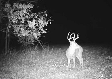 000 S Highway J, Stockton, MO 65785 - photo 2