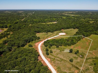 Aerial view of property and surrounding area with a heavily wooded area and property boundaries highlighted