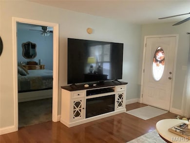 unlisted-address, House Springs, MO 63051 - photo 7