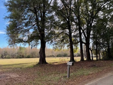 336 Beach Rd, Camden, AL 36726 - photo 2