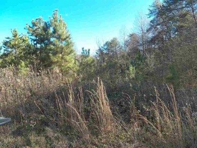 00 Blue Ridge Riding Club Rd, West Union, SC 29696 - photo 2