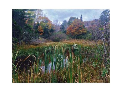 0 Derek Way unit 1160928, Harpswell, ME 04079 - photo 5