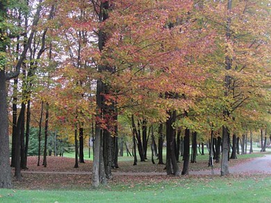 Other. GOLF COURSE VIEW