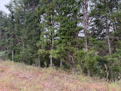 19.3 County Road 200, Danville, AL 35619 - photo 3