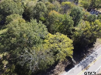 TBD Fm 1799, Alba, TX 75410 - photo 6