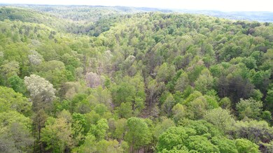 1234 Pine Ridge Rd, Somerset, KY 42501 - photo 6