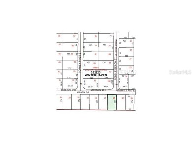 2154 Mirasol Dr, Winter Haven, FL 33881 - photo 3