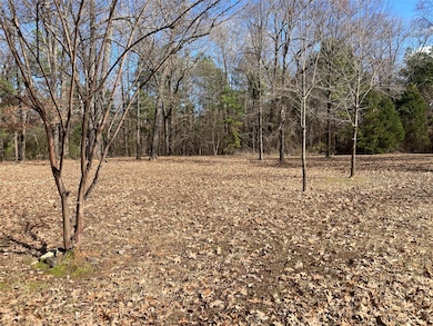 Home site is set back on the property to give a nice large front yard for privacy.