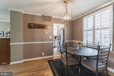 4212 36th St S unit A2, Arlington, VA 22206 - photo 6
