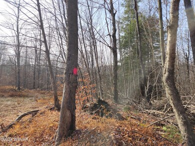 0 Pole Bridge Rd unit LOT 39 WB-100451, Laporte Township, PA 17758 - photo 3