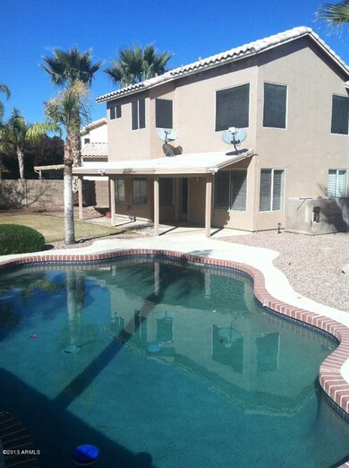 Backyard Oasis