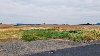 15237 E Belmont Appx Rd, Mica, WA 99023 - photo 4