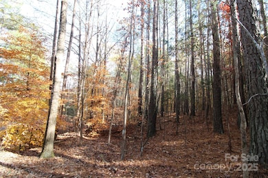 5+/-AC Bookout Rd, Rock Hill, SC 29730 - photo 5