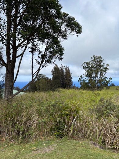 0 Palikekua St unit 722634, Honokaa, HI 96727 - photo 3