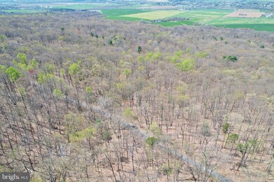 0 Brush Leaf Ln unit VASH2003004, Mount Jackson, VA 22842 - photo 7