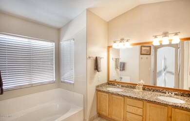 master bath vanity