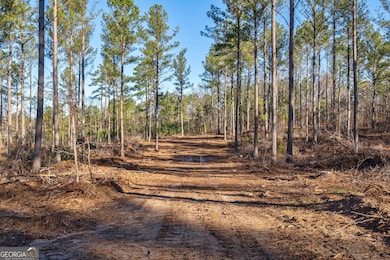 0 Faust Farm Rd, Crawford, GA 30630 - photo 4