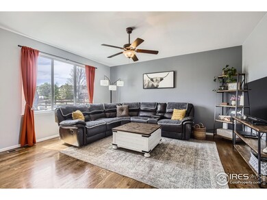 189 Kitty Hawk Ct, Windsor, CO 80550 - photo 5