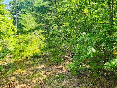 0 Alberta St, Oneida, TN 37841 - photo 6