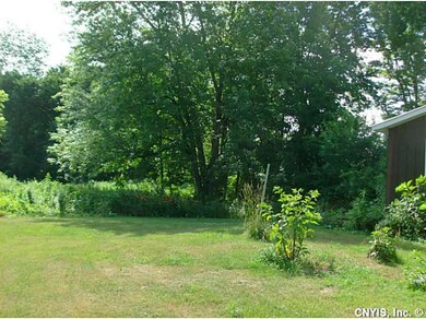 Backyard.