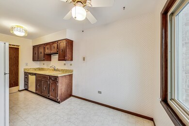 1525 E Thacker St unit 2E, Des Plaines, IL 60016 - photo 7