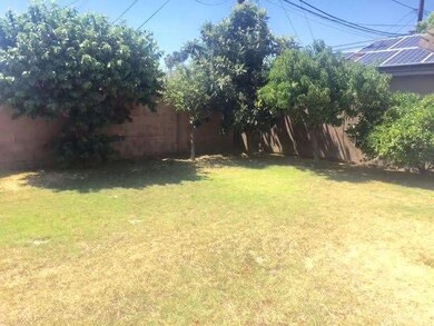 Private backyard with fruit trees