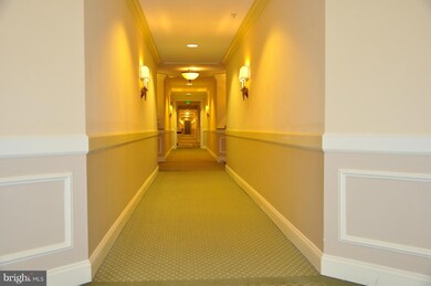 12240 Roundwood Rd unit 204, Lutherville Timonium, MD 21093 - photo 5