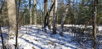 VL M-37 (Woodbridge), Bitely, MI 49309 - photo 7