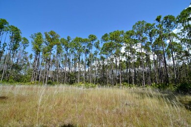 00 Key Deer unit LotWP001, Perry, FL 32348 - photo 5