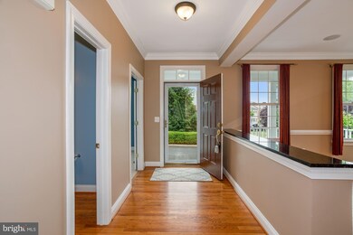 168 Positano Ct, Purcellville, VA 20132 - photo 5