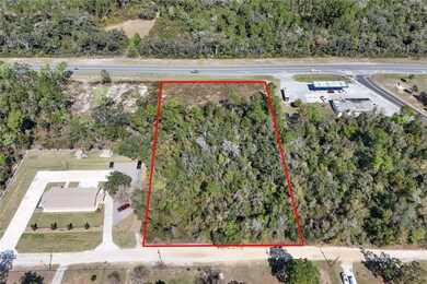 0 Hwy 40, Ocala, FL 34470 - photo 7