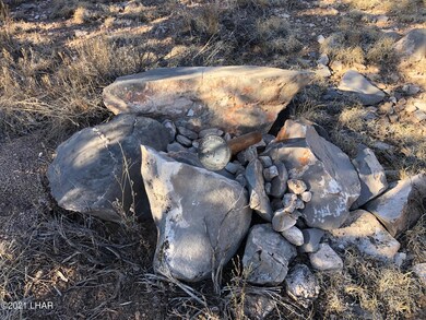 121.5 Greenview Ranch, Seligman, AZ 86337 - photo 7