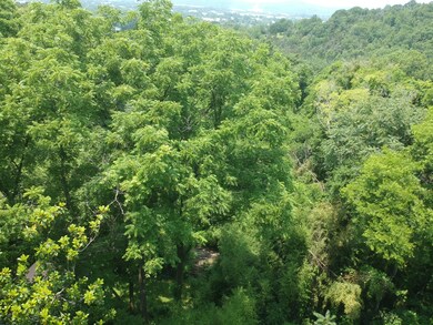 DJI_0229