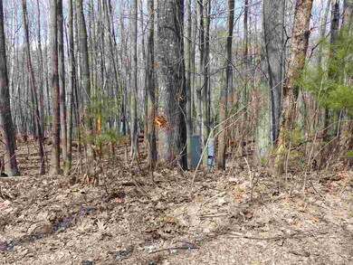 215-10.2 Red Hill Farm, Center Harbor, NH 03226 - photo 6