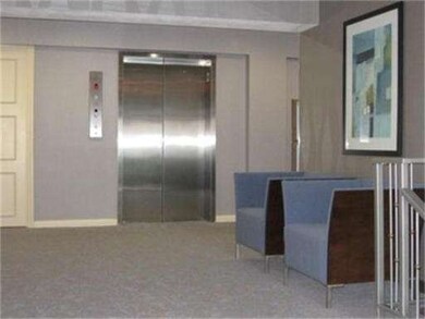 Hammond Park Condominiums unit 204, Chestnut Hill, MA 02467 - photo 3