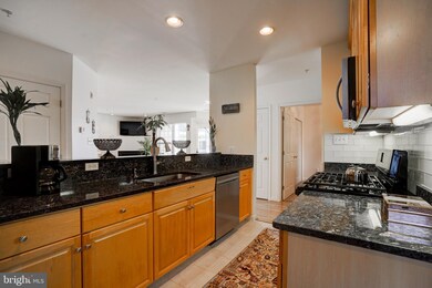 25240 Lake Shore Square unit 204, Chantilly, VA 20152 - photo 6