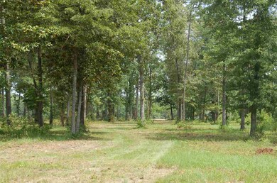 0 Bond Rd unit ACREAGE 281563, Cairo, GA 39828 - photo 2